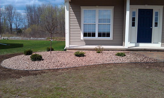 2011 Project