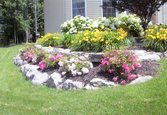 Project image 18