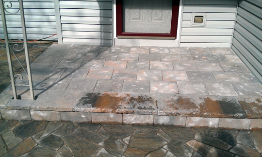 2011 Project