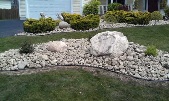 2011 Project